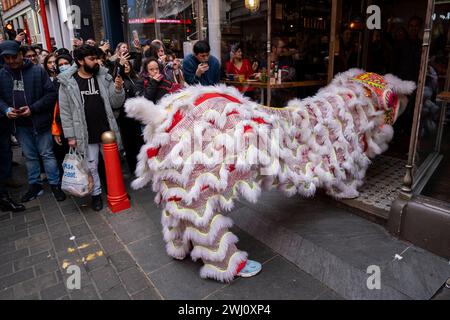 Lion Dance anlässlich des chinesischen Neujahrs des Drachen, der in Restaurants in Chinatown eingeht, um sie für das kommende Jahr am 10. Februar 2024 in London, Großbritannien, zu segnen. Chinatown ist eine ethnische Enklave an der Grenze zu Soho und befindet sich derzeit in der Gerrard Street. Es enthält eine Reihe chinesischer Restaurants, Bäckereien, Supermärkte, Souvenirläden und anderer chinesischer Unternehmen. Stockfoto