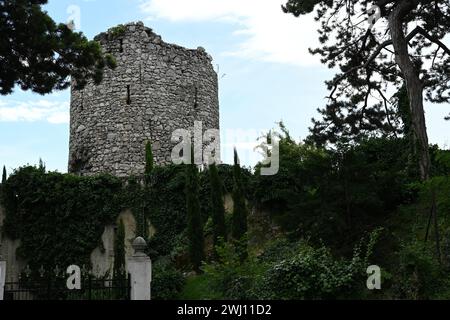 Künstliche Ruine des schwarzen Turms, Österreich Stockfoto