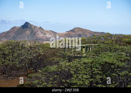 Eine Aussichtsplattform im Millennium Forest auf der Atlantikinsel St. Helena Stockfoto