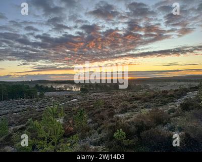 Frensham Little Pond, Farnham, Surrey. Februar 2024. Ein schöner Start in den Tag für die Home Counties. Sonnenaufgang über Frensham Little Pond in der Nähe von Farnham in Surrey. Quelle: james jagger/Alamy Live News Stockfoto