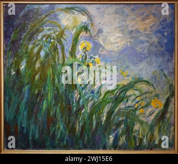 Gelbe Iris (1924-1925) von Claude Monet (1840-1926). Stockfoto