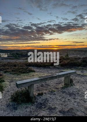 Frensham Little Pond, Farnham, Surrey. Februar 2024. Ein schöner Start in den Tag für die Home Counties. Sonnenaufgang über Frensham Little Pond in der Nähe von Farnham in Surrey. Quelle: james jagger/Alamy Live News Stockfoto