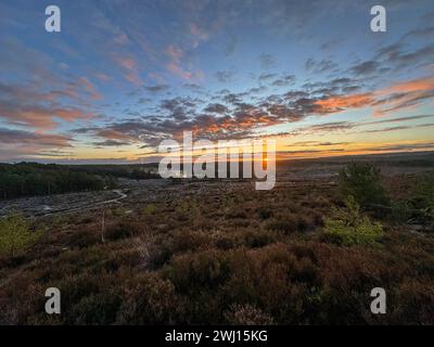 Frensham Little Pond, Farnham, Surrey. Februar 2024. Ein schöner Start in den Tag für die Home Counties. Sonnenaufgang über Frensham Little Pond in der Nähe von Farnham in Surrey. Quelle: james jagger/Alamy Live News Stockfoto