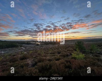 Frensham Little Pond, Farnham, Surrey. Februar 2024. Ein schöner Start in den Tag für die Home Counties. Sonnenaufgang über Frensham Little Pond in der Nähe von Farnham in Surrey. Quelle: james jagger/Alamy Live News Stockfoto