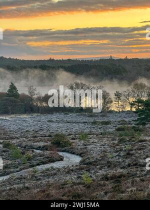 Frensham Little Pond, Farnham, Surrey. Februar 2024. Ein schöner Start in den Tag für die Home Counties. Sonnenaufgang über Frensham Little Pond in der Nähe von Farnham in Surrey. Quelle: james jagger/Alamy Live News Stockfoto