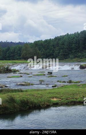 Malerische Landschaft, üppiges grünes Tal und schöner Pykara Wasserfall umgeben von Kiefernwald und nilgiri Bergen in der Nähe von Oooty, tamilnadu, südindien Stockfoto