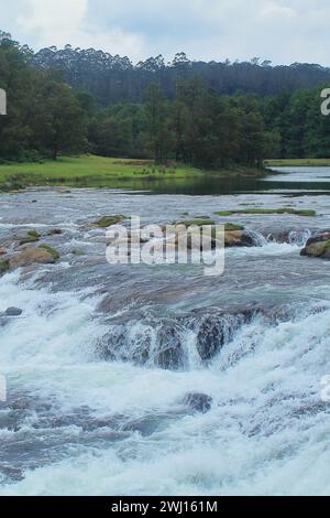 Malerische Landschaft, üppiges grünes Tal und schöner Pykara Wasserfall umgeben von Kiefernwald und nilgiri Bergen in der Nähe von Oooty, tamilnadu, südindien Stockfoto