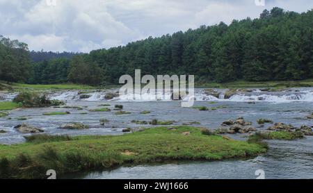 Malerische Landschaft, üppiges grünes Tal und schöner Pykara Wasserfall umgeben von Kiefernwald und nilgiri Bergen in der Nähe von Oooty, tamilnadu, südindien Stockfoto