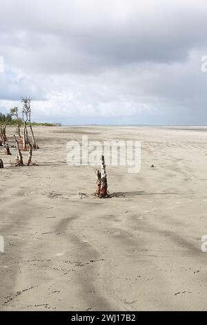 henry's Island Sea Beach, wunderschöne Küste von Bakkhali und Urlaubsziel in der Nähe von kalkutta in westbengalen, indien Stockfoto