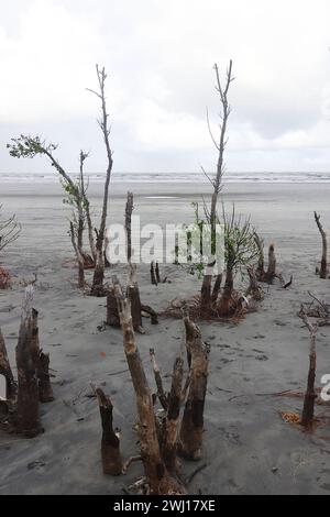 henry's Island Sea Beach, wunderschöne Küste von Bakkhali und Urlaubsziel in der Nähe von kalkutta in westbengalen, indien Stockfoto