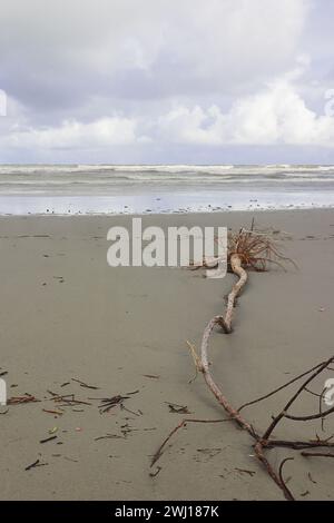 henry's Island Sea Beach, wunderschöne Küste von Bakkhali und Urlaubsziel in der Nähe von kalkutta in westbengalen, indien Stockfoto