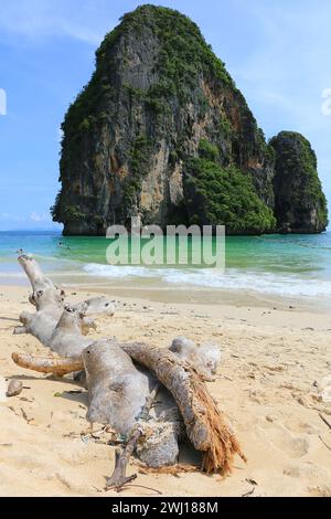 Phra Nang Beach, Thailand. Ein alter Baumstamm am tropischen Strand in Krabi Region. Stockfoto