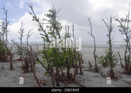 henry's Island Sea Beach, wunderschöne Küste von Bakkhali und Urlaubsziel in der Nähe von kalkutta in westbengalen, indien Stockfoto