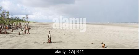 henry's Island Sea Beach, wunderschöne Küste von Bakkhali und Urlaubsziel in der Nähe von kalkutta in westbengalen, indien Stockfoto