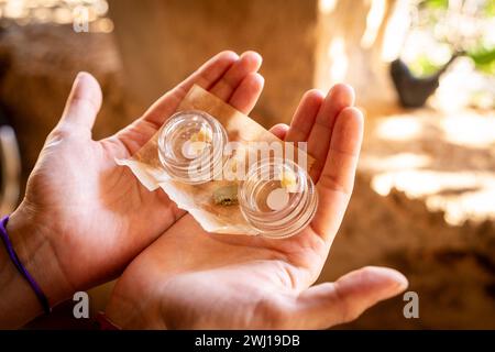 Destilliertes Cannabisharz, mallorca, balearen, spanien Stockfoto