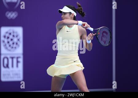 Doha, Katar. Februar 2024. DOHA, KATAR - 12. FEBRUAR: Emma Raducanu aus Großbritannien im Kampf gegen Anhelina Kalinina aus der Ukraine in der ersten Runde am Tag 2 während der Qatar TotalEnergies Open, Teil der Hologic WTA Tour im Khalifa International Tennis and Squash Complex am 12. Februar 2024 in Doha, Katar (MB Media) Credit: MB Media Solutions/Alamy Live News Stockfoto