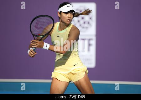 DOHA, KATAR - 12. FEBRUAR: Emma Raducanu aus Großbritannien im Kampf gegen Anhelina Kalinina aus der Ukraine in der ersten Runde am Tag 2 während der Qatar TotalEnergies Open, Teil der Hologic WTA Tour im Khalifa International Tennis and Squash Complex am 12. Februar 2024 in Doha, Katar (MB Media) Credit: MB Media Solutions/Alamy Live News Stockfoto