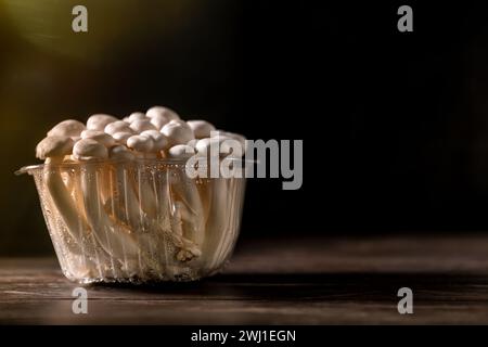 Nahaufnahme eines Haufens Shimeji-Pilze in Plastikverpackung auf Holzbrett, mit selektivem Fokus, Shimiji-Pilze, Superfood, eine Art köstliches Stockfoto