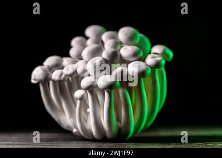 Nahaufnahme einer Gruppe Shimeji-Pilze mit grünem Licht, auf hölzernem und schwarzem Hintergrund, mit selektivem Fokus, Shimiji-Pilze, Superfood, ein Typ o Stockfoto