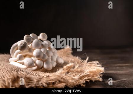 Nahaufnahme eines Haufens Shimeji-Pilze auf Leinwand und hölzernem Hintergrund, mit Kopierraum, Superfood, eine Art köstlicher Austernpilze, gesundes Essen Stockfoto