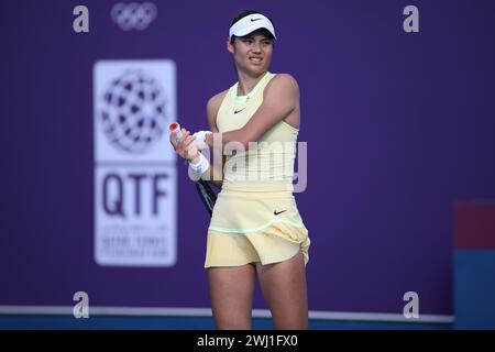 DOHA, KATAR - 12. FEBRUAR: Emma Raducanu aus Großbritannien im Kampf gegen Anhelina Kalinina aus der Ukraine in der ersten Runde am Tag 2 während der Qatar TotalEnergies Open, Teil der Hologic WTA Tour im Khalifa International Tennis and Squash Complex am 12. Februar 2024 in Doha, Katar (MB Media) Credit: MB Media Solutions/Alamy Live News Stockfoto