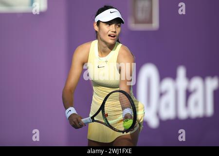 DOHA, KATAR - 12. FEBRUAR: Emma Raducanu aus Großbritannien im Kampf gegen Anhelina Kalinina aus der Ukraine in der ersten Runde am Tag 2 während der Qatar TotalEnergies Open, Teil der Hologic WTA Tour im Khalifa International Tennis and Squash Complex am 12. Februar 2024 in Doha, Katar (MB Media) Credit: MB Media Solutions/Alamy Live News Stockfoto