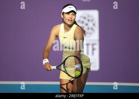 DOHA, KATAR - 12. FEBRUAR: Emma Raducanu aus Großbritannien im Kampf gegen Anhelina Kalinina aus der Ukraine in der ersten Runde am Tag 2 während der Qatar TotalEnergies Open, Teil der Hologic WTA Tour im Khalifa International Tennis and Squash Complex am 12. Februar 2024 in Doha, Katar (MB Media) Credit: MB Media Solutions/Alamy Live News Stockfoto