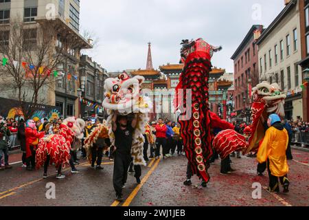 Februar 2024, Chinatown, Washington DC, USA. Tausende von Offenbarern versammeln sich in Chinatown, um das neue Mondjahr zu feiern. Das Jahr des Drachen. (Foto: Robyn Stevens Brody/SIPA USA) Credit: SIPA USA/Alamy Live News Stockfoto