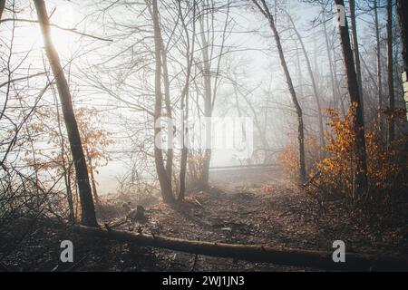 Nebeliger Februarmorgen - Wandern im Naturschutzgebiet Drbákov – Albertovy skály an der Moldau, Tschechien, Europa Stockfoto