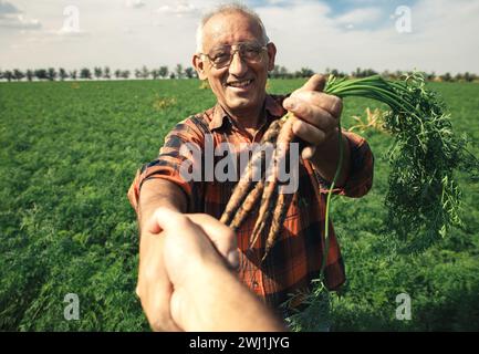 Porträt eines älteren Landwirts auf dem Feld, der die Karotten in seinen Händen zeigt und die Hände schüttelt. Stockfoto