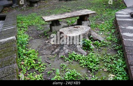 Holzbank und Tisch aus altem Baumstamm Stockfoto
