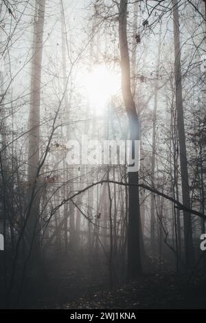 Nebeliger Februarmorgen - Wandern im Naturschutzgebiet Drbákov – Albertovy skály an der Moldau, Tschechien, Europa Stockfoto