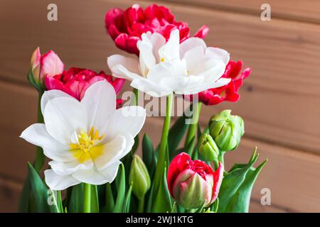 Strauß aus roten und weißen Tulpenblüten ist vor der Holzwand, Nahaufnahme Foto mit selektivem Fokus Stockfoto