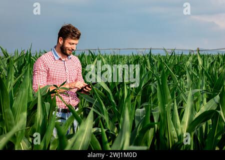 Ein Landwirt, der auf einem Maisfeld steht und die Tablette in der Hand hält und die Ernte untersucht. Stockfoto
