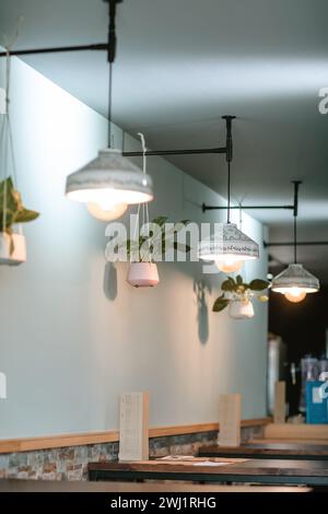 Stilvolle Seitenansicht einer Bar mit weißen Designer-Lampen, hängenden Pflanzen, Esstischen und Stühlen, mit Bartheke im Hintergrund. Stockfoto