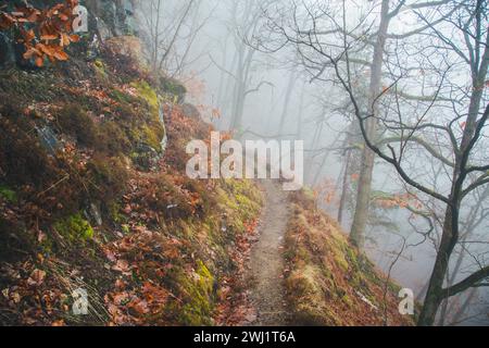 Nebeliger Februarmorgen - Wandern im Naturschutzgebiet Drbákov – Albertovy skály an der Moldau, Tschechien, Europa Stockfoto