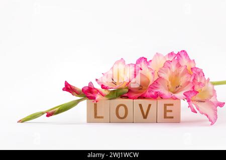 Rosafarbene Gladiolusblume und das Wort Liebe aus Holzwürfeln auf grauem Hintergrund. Konzept von Liebe, Urlaub, valentinstag, Geburtstag, Mutter Stockfoto