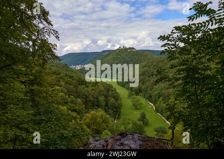 Wunderschöne Landschaft, frischer Tannenwald, grünes Grasfeld, Landschaft Tal in den Bergen, klarer blauer Himmel, Sommerreisekonzept. Eine schöne Stockfoto
