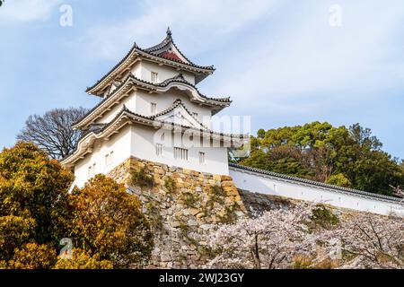 Schloss Akashi in Japan. Der Hitsujisaru Yagura, ein Turm auf seiner ishigaki-Steinbasis, der über den Kirschblüten in voller Blüte im Frühling thront. Stockfoto