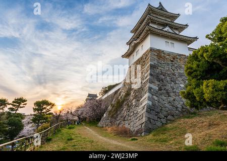 Der Pfad verläuft entlang der hohen Steinmauern von ishigaki und zwei Türmchen der Burg Akashi in Japan bei Sonnenuntergang im Frühling. Kirschblüten. Stockfoto