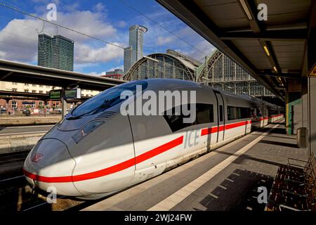 Intercity ICE am Frankfurter Hauptbahnhof mit DZ Bank, Frankfurt am Main, Deutschland, Europa Stockfoto