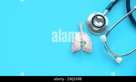 Weltpneumonie Tag, Tuberkulose TB Tag, Lunge Gesundheit Tag, Asthma Tag. Ärztliche Untersuchung. Banner für das Gesundheitswesen. Menschliches Lungenmodell und Stethsokop über blauem Ba Stockfoto