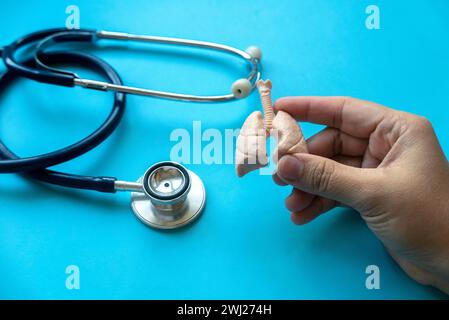 Weltpneumonie Tag, Tuberkulose TB Tag, Lunge Gesundheit Tag, Asthma Tag. Ärztliche Untersuchung. Banner für das Gesundheitswesen. Menschliches Lungenmodell und Stethsokop über blauem Ba Stockfoto