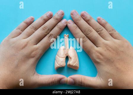 Weltpneumonie Tag, Tuberkulose TB Tag, Lunge Gesundheit Tag, Asthma Tag. Banner für das Gesundheitswesen. Handbedeckung eines Lungenmodells. Stockfoto