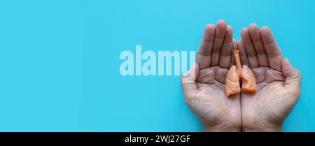 Weltpneumonie Tag, Tuberkulose TB Tag, Lunge Gesundheit Tag, Asthma Tag. Banner für das Gesundheitswesen. Hand hält ein Lungenmodell. Stockfoto