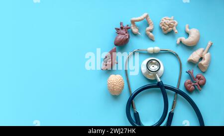 Stethoskop und menschliches Organ auf blauem Hintergrund. Stockfoto