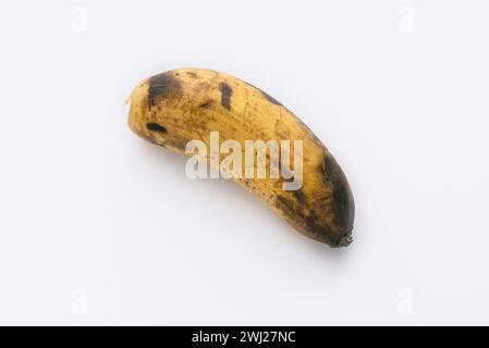 Faule Banane isoliert auf weißem Stockfoto