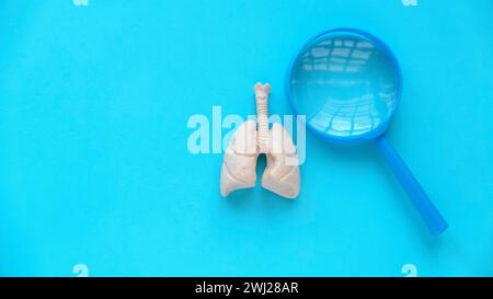 Weltpneumonie Tag, Tuberkulose TB Tag, Lunge Gesundheit Tag, Asthma Tag. Ärztliche Untersuchung. Banner für das Gesundheitswesen. Menschliches Lungenmodell und Vergrößerungsglas. Stockfoto