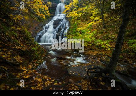 Herbstfarben rund um Wasserfall und Fluss Stockfoto