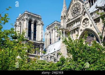 Kirchturm von der Kathedrale Notre Dame in Paris Stockfoto
